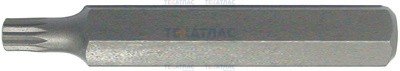 Licota BSM37512 Бита 10 мм Spline M12 75 мм